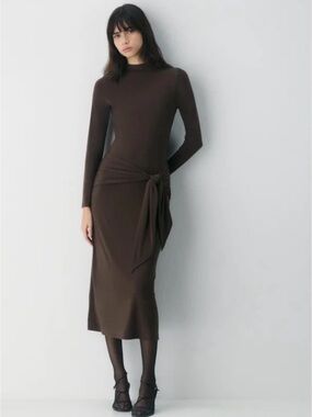Aritzia Brown Long-Sleeve Tie-Detail Midi Dress